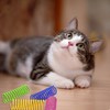 Pack of 40 Cat Spring Toys, Plastic Spiral Springs, Novelty