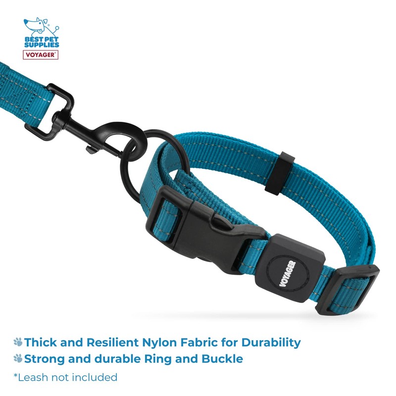 Best Pet Supplies Reflective Dog Collar with Adjustable Length, Heavy-Duty