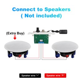 STUDIOFINIX 2-Channel Wall-Mounted Audio Amplifier - 100W Max Power Output with USB, Mic & AUX, for Sound Systems Home Theater Integration Compatible with Bluetooth