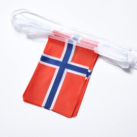 WXTWK Norway Flags Norwegian Small Mini Pennant String Banner Flag Festival Decorations(50 Feet 38 Flags)