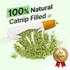 Potaroma 3-Pack Catnip Cat Toys, 15,000mg A+ Pure Kitten Kickers