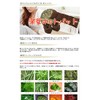 Rakuso Eye Pad with 15 Kinds of Herbs Formulated in