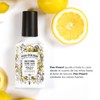 Poo-Pourri México Citrus 4 Fl. Oz., Color, 118 Ml