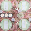 Blue Sky Edge Collection Mint Green Plastic Plates 10.6" -