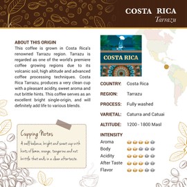 Costa Rica Tarrazu Coffee - Ground Coffee - Freshly Roasted Coffee - Cubico Coffee - 16 Ounce (Medium Roast)