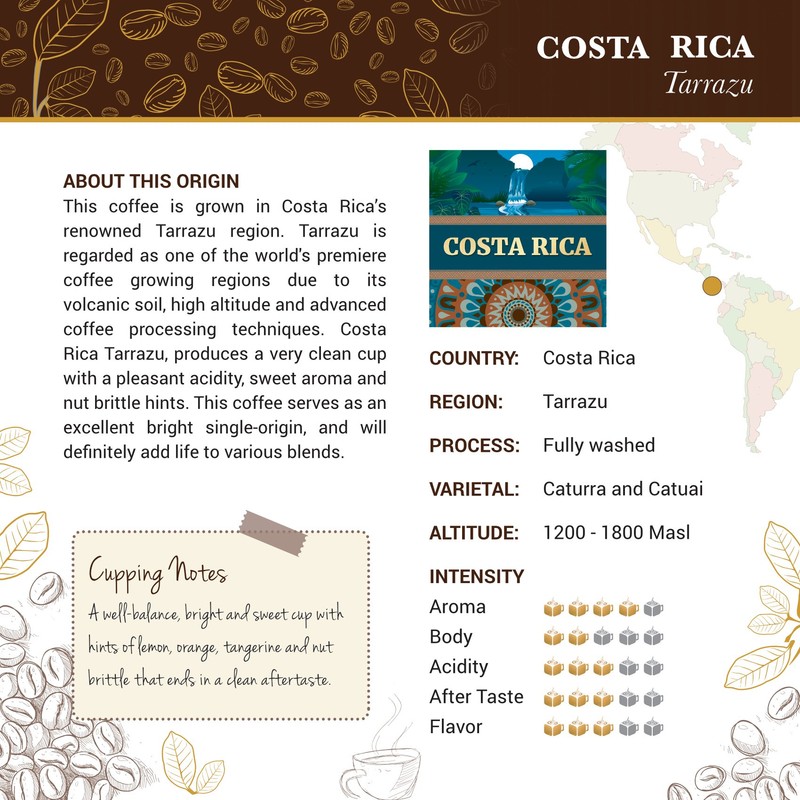 Costa Rica Tarrazu Coffee - Ground Coffee - Freshly Roasted