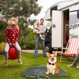 Catalonia Classic Waterproof Dog Mat, Portable Reversible Pet Travel Mat, Pet Cushion Pad with Handle for Small Medium Dogs Cats, Indoor or Outdoor