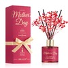 Airkeep Mother‘ Day Reed Diffuser Set, Vanilla Scented Diffuser Oil