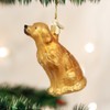 Old World Christmas Sitting Golden Glass Blown Ornament for Christmas