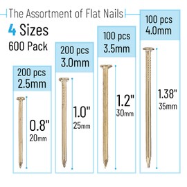 Mr. Pen Mr. Pen- Nail Assortment Kit, 600 Pcs, 4 Sizes, Gold, Small Nails, Nails for Hanging Pictures, Finishing Nails, Wall Nails for Hanging, Pin Nails, Hardware Nails, Assorted Nails, Galvanized Nails