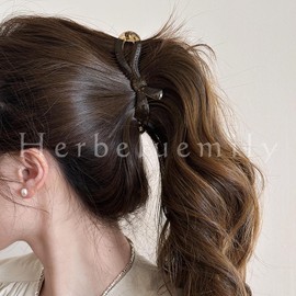 Herbeluemily HM-0102-R02-D Banana Clip, Secure, Hair Clip, Ribbon, Set of 2, D, Clear Champagne + Clear Brown