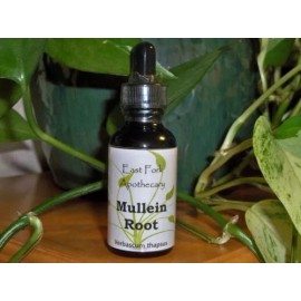 East Fork Apothecary Mullein Root Tincture 2 oz. Wildcrafted