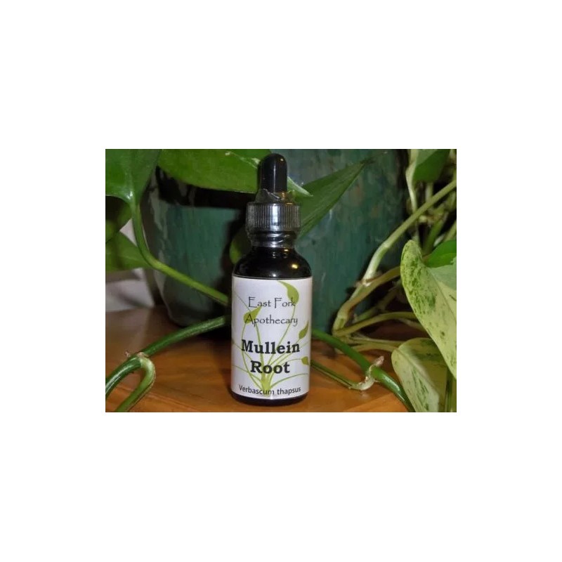 East Fork Apothecary Mullein Root Tincture 2 oz. Wildcrafted