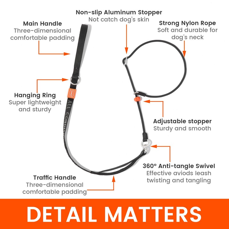Slip Lead Dog Leash with Double Handles | Reflective Dog