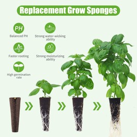 DRYADES DRYADES Grow Sponges 50 Pack, Hydroponics Replacement Root Growth Sponges Compatible with Aero Garden iDOO and Most Other Brands