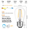 ECOVANIA Upgrade IP65 Waterproof Outdoor String Light Bulbs, 2W LED