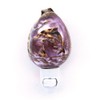 California Seashell Company Carved Dolphin Cowrie Shell Night Light