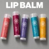 5 Pack Bálsamo Labial Dr. Akermans Frutas 4.5g Natural