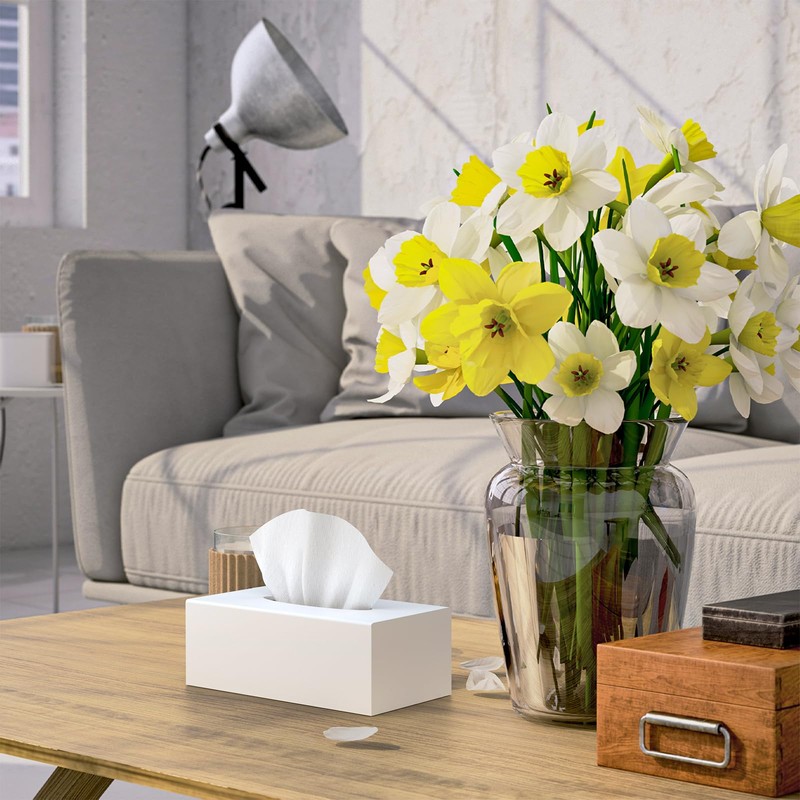 SILUT Tissue Box Cover Rectangle, Tissue Box Holder Decorative, Acrylic