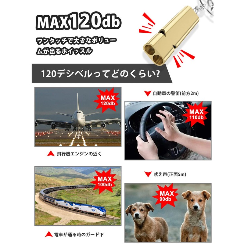 PolySky Emergency Whistle With Lanyard, Disaster Preparedness, Outdoor, School, Gym,