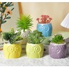 Cuteforyou Succulent Pots,Cute Cartoon Animal Owl Shaped Ceramic Succulent Cactus