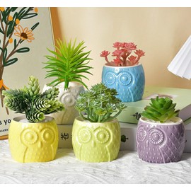 Cuteforyou Succulent Pots,Cute Cartoon Animal Owl Shaped Ceramic Succulent Cactus Flower Plant Pots Air Plant Holder -Plants Not in Included (6 Pcs)