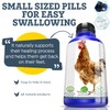 HealthyAnimals4Ever All-Natural Chicken Injury Supplement - Natural Support for Accidents
