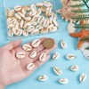 CRAFTYMELODY 60Pcs Natural Shell Charms 6 Style Sea Shell Pendants