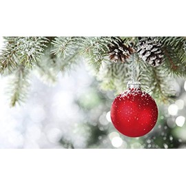 Christmas Memories Fragrance Oil 64 oz Bottle Premium Grade for Candle and Soap Making by Midway Mercantile