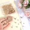 SOFPLATE 1 Box 160Pcs 4mm 5mm 6mm 8mm Rhinestone Earring