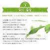 Fukuda Farm Horse Oil MIKAN AROMA Lip Cream (1 Piece),