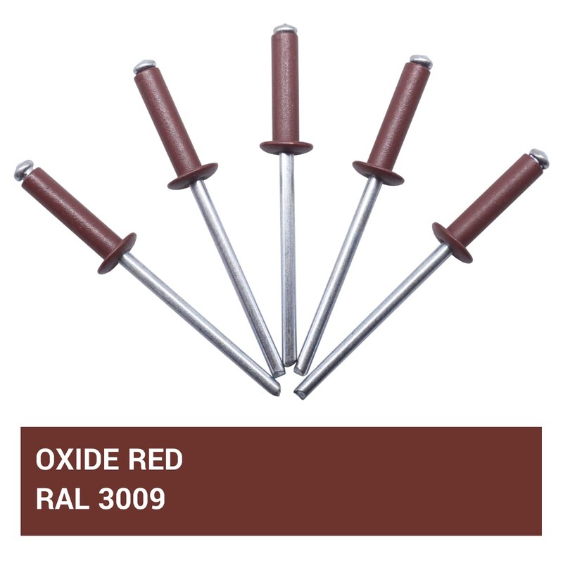 SKIR'CO Pack of 150 blind rivets painted 4.0 x 16