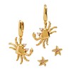 Alex and Ani Crab & Starfish Earring Set