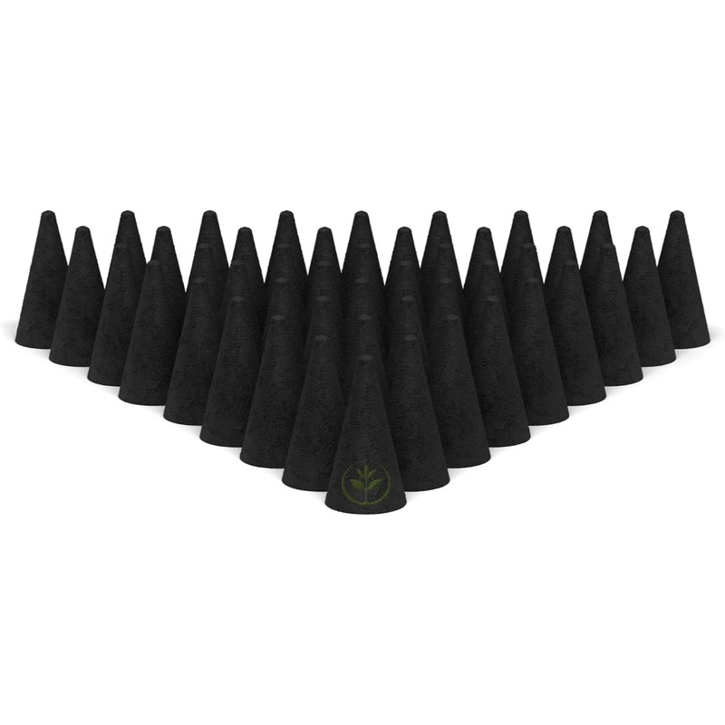 Frankincense and Myrrh Charcoal Incense Cones 1" TOPFLOW - 100