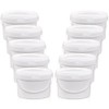 10 Pack White Plastic Bucket with Handle and Lid Food