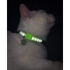 Taglory Reflective Cat Collars Breakaway with Bell, 2-Pack Girl Boy