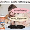 Qucship 8Oz Effective Solution for Managing Pet Behavior - Not