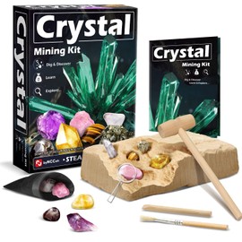 Byncceh Minerals Excavation Set, Gemstone Excavation Toy with 5 Geology Stones, Digging Real Minerals Archaeology Experiment Set, Gift for Children from 7 Years Boys Girls