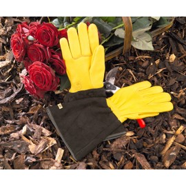 Gold Leaf TOUGH TOUCH Deluxe Deerskin Leather RHS Thorn Resistant Gardening Gloves - Ladies Size - Great Gift, 2 Count (Pack of 1)