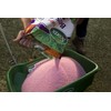 Scotts Turf Builder Bonus S Southern Weed & Feed2, Weed