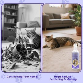 Hedhedhed Cat Deterrent Spray - Effective Repellent Spray for Furniture Protection, Safe Natural Indoor & Outdoor Training Aid to Stop Scratching & Urine Marking (200 ML)