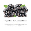 Dr. Doolittle’s Sugar Free Soft Fruit Pastilles for Voice and