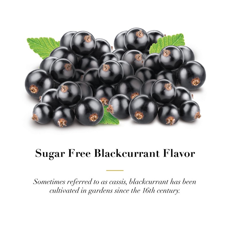 Dr. Doolittle’s Sugar Free Soft Fruit Pastilles for Voice and