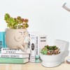 Toparad Face Self Watering Planter Pots Funny Toilet Plant Pot
