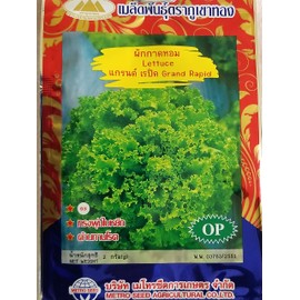 Golden Mountain Thai Leaf Lettuce Green Seeds