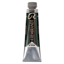 Rembrandt Paint Oil EART, Green Earth (Terre Verte), One Size