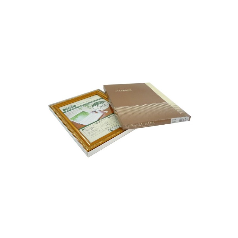 Daisen Picture Frame OA Frame Gold R A4 Resin Boxed