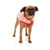 FuzzYard Hey There Sweetie Dog Wrap Vest (3)