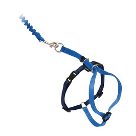PetSafe Come with Me - Arnés de Gatito y Correa elástica, arnés para Gatos, Azul RealAzul Marino, Large                                               