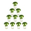 Choose Bike Green Disc Brake Rotor Bolts Screws